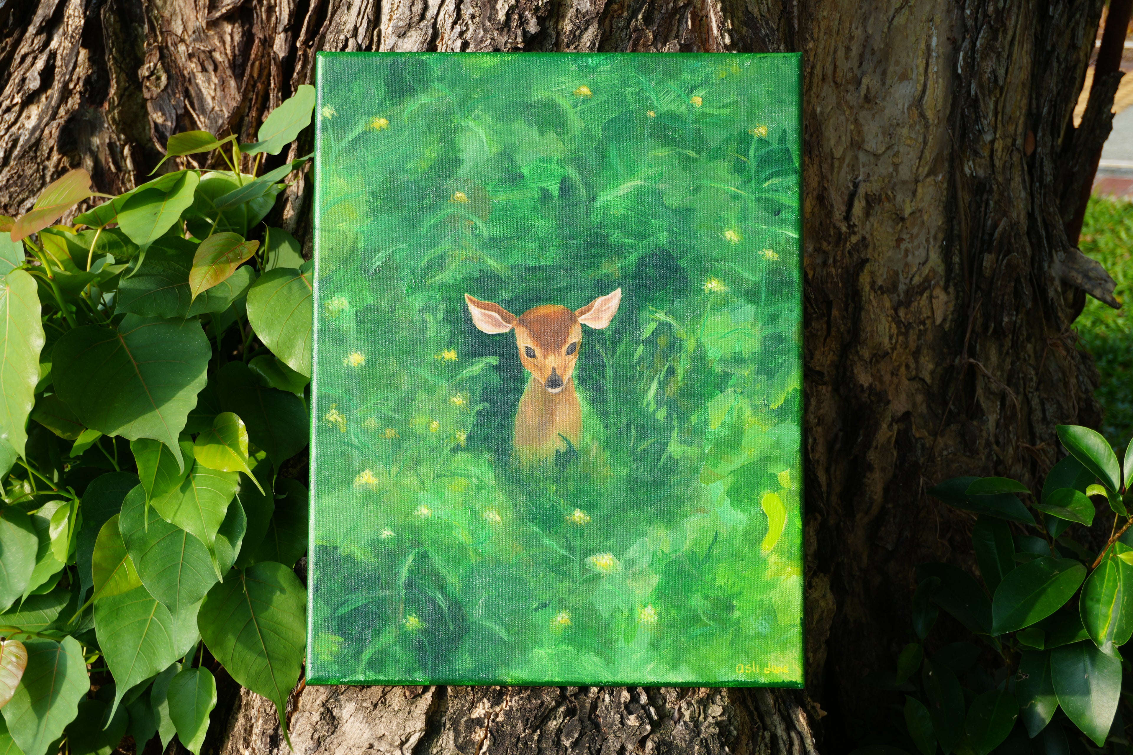 Deer in The Green