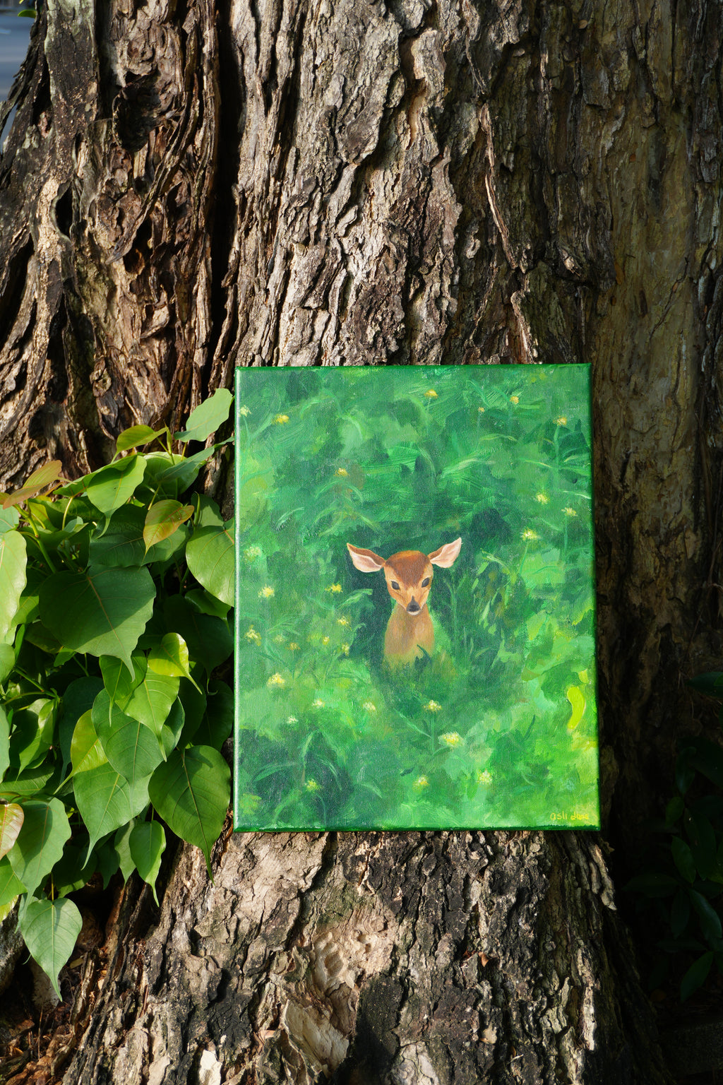 Deer in The Green