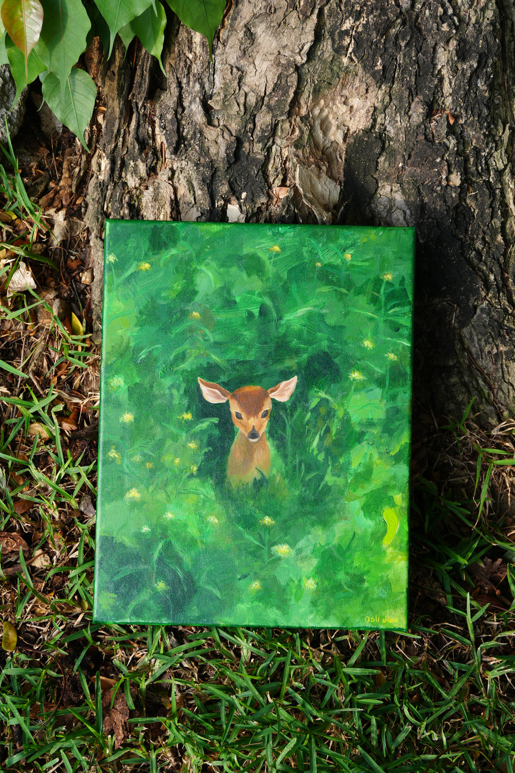 Deer in The Green